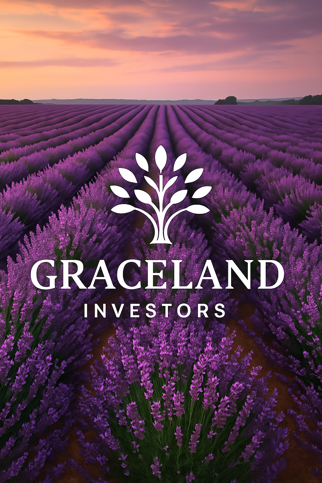 20250831_2319_Lavender Field Logo_remix_01k41yrfjpekh9gqz8pd175sdp